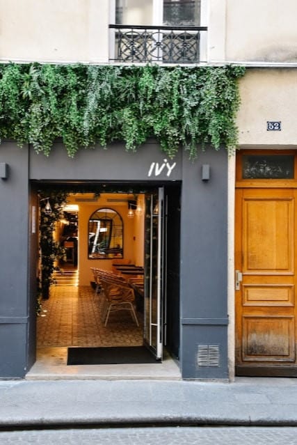 Ivy — photo 3