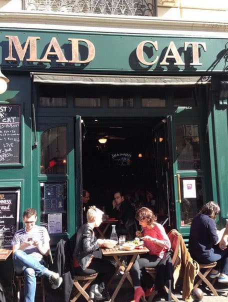 Thirsty Mad Cat — photo 2