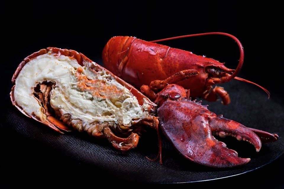 Photo de Comptoir des Mers