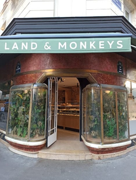 Land & Monkeys — photo 3