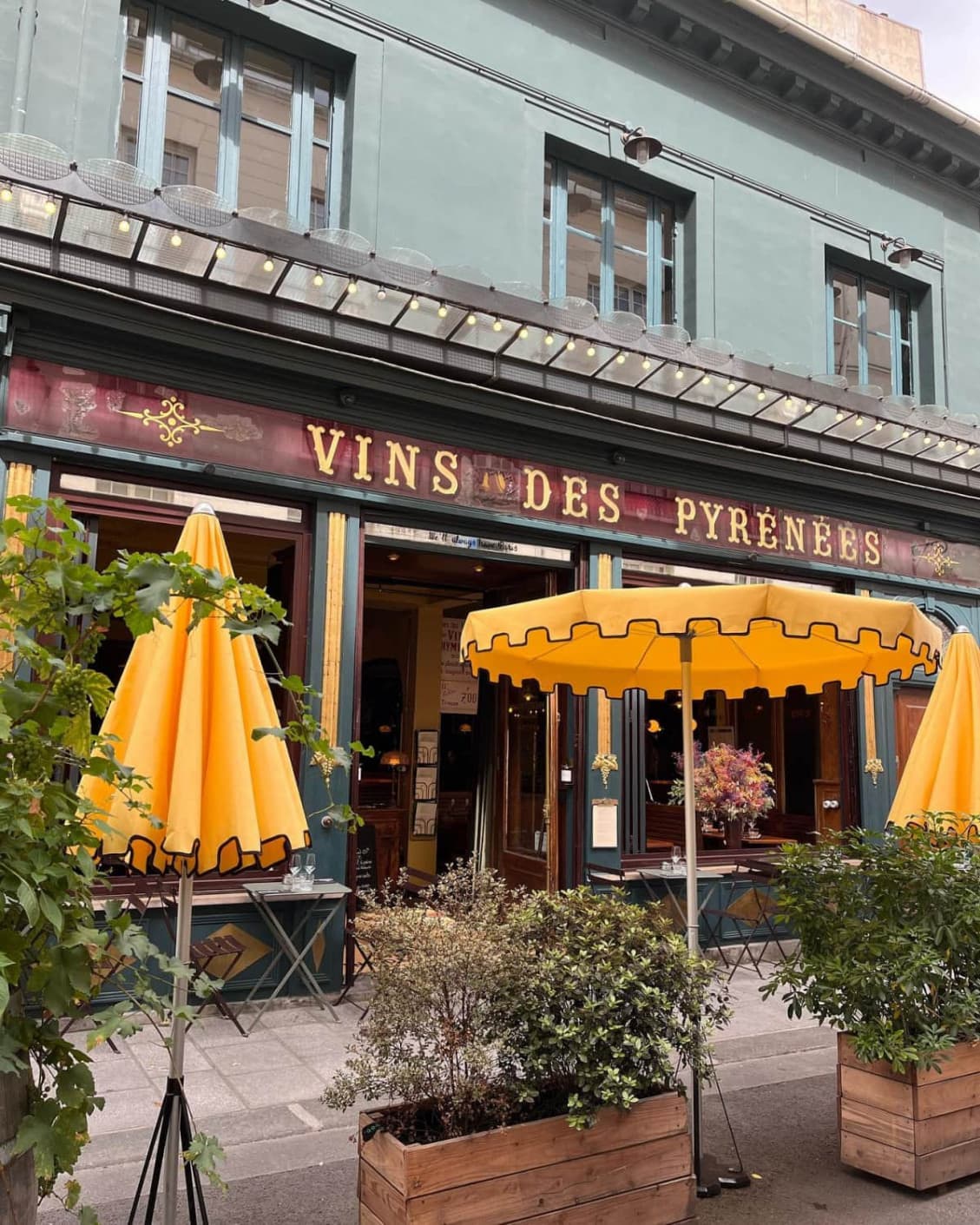 Vins des pyrénées — photo 2