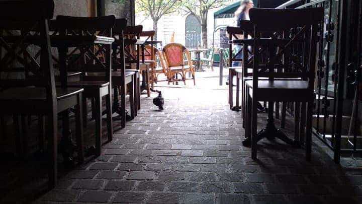 Le Village — photo 3