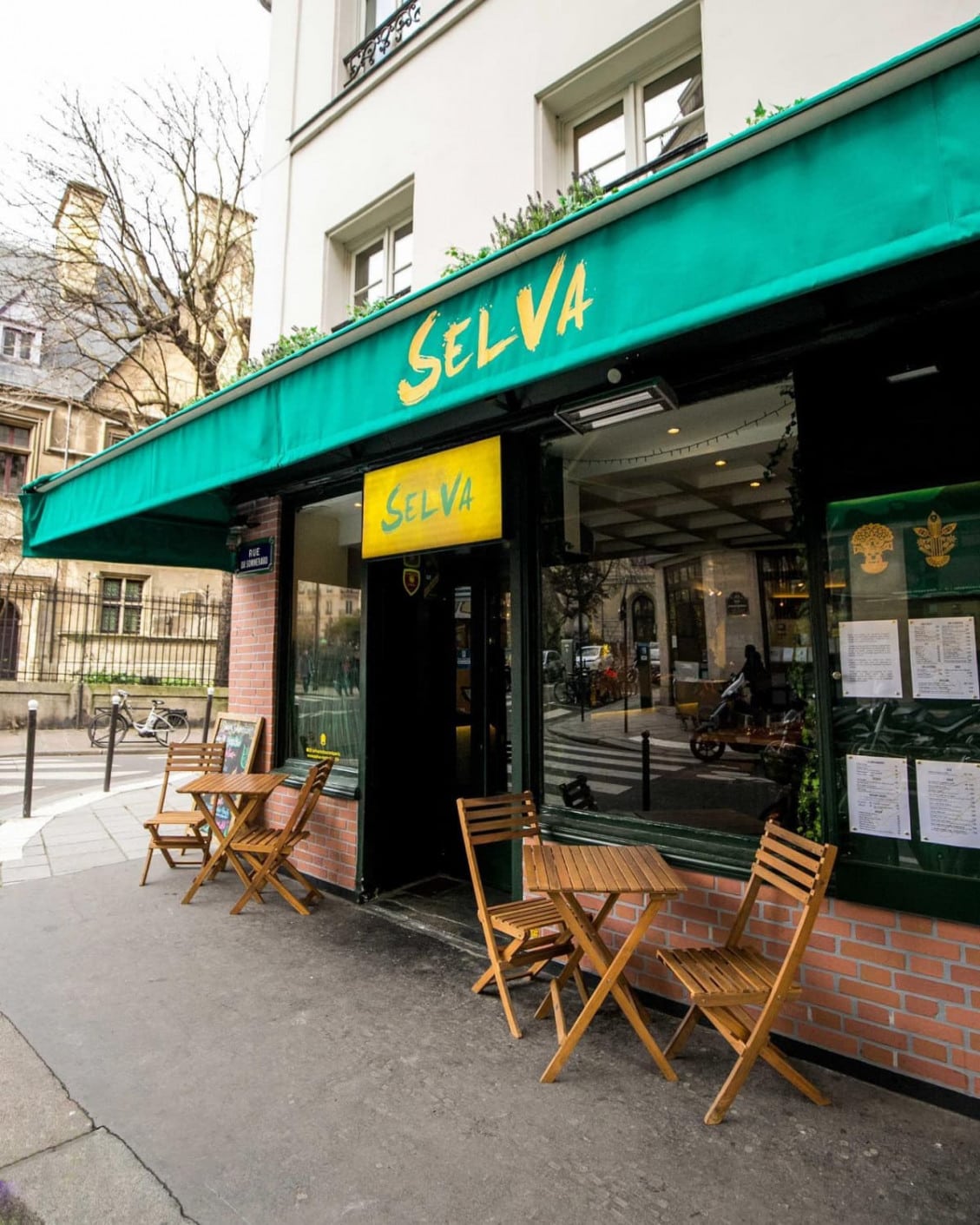 Selva — photo 2