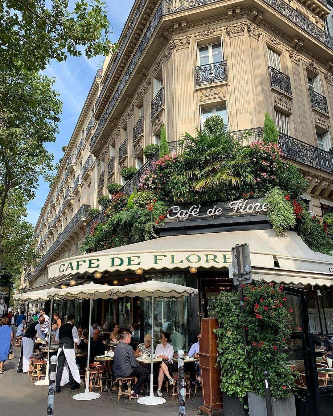 Café de Flore — photo 3