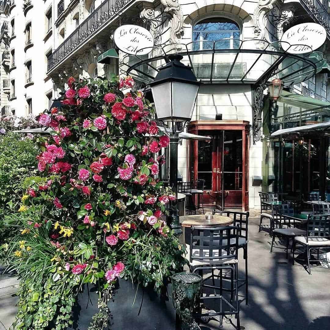 Des lilas. Ресторан Клозери де Лила. Кафе la Closerie des Lilas в Париже.