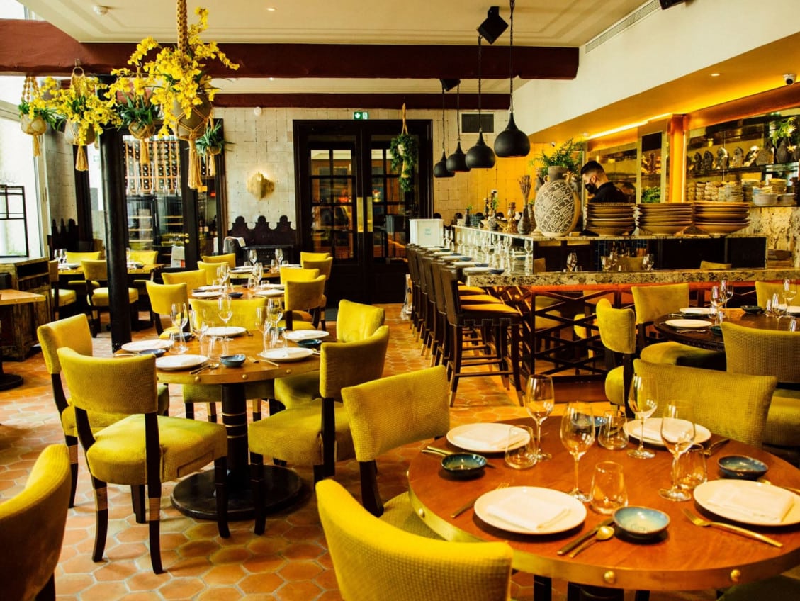 Coya — photo 4