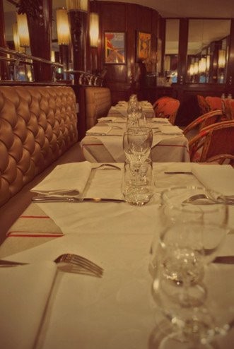Le basilic — photo 3