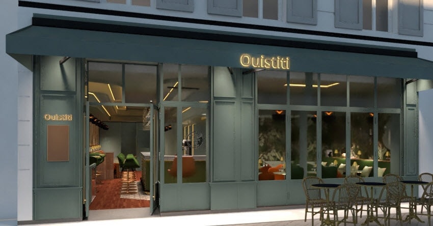 Ouistiti — photo 2