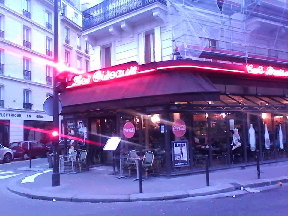 Les oiseaux — photo 2