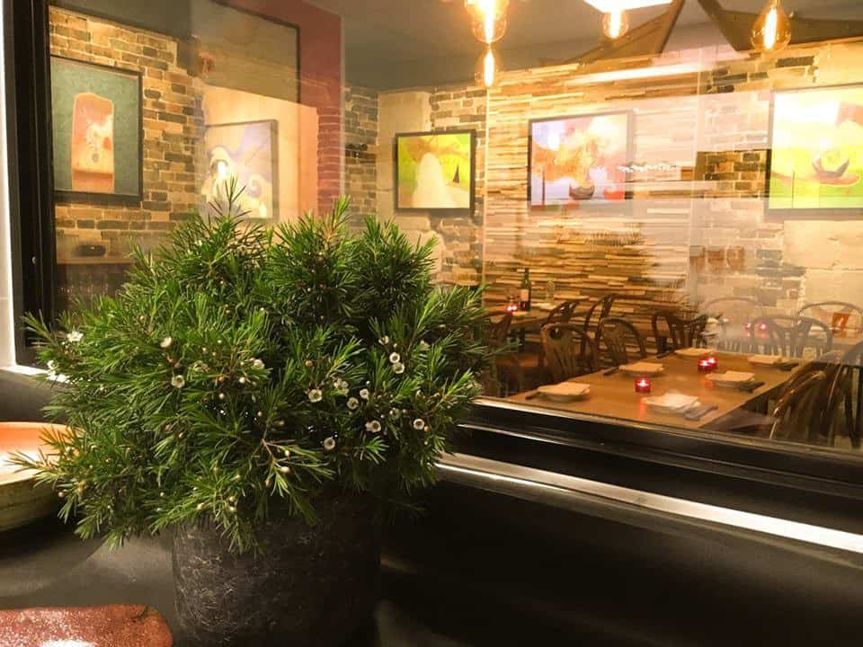 Sumibi Kaz — photo 3