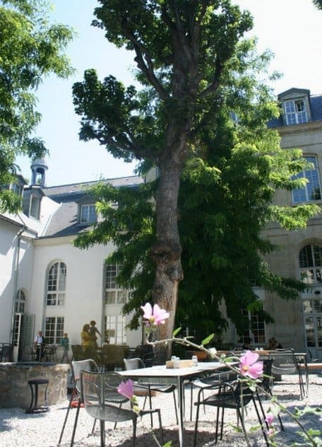 Café A — photo 2
