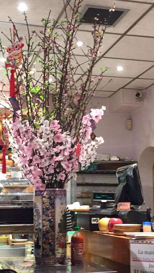 Panda Belleville — photo 2