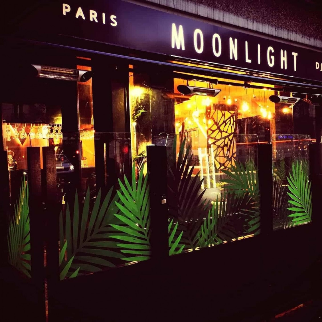 Moonlight — photo 2