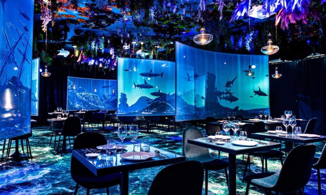 Under the sea — photo 3