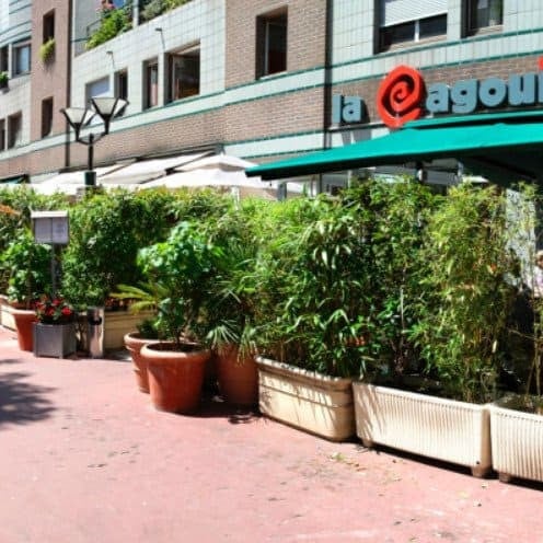 La Cagouille — photo 2