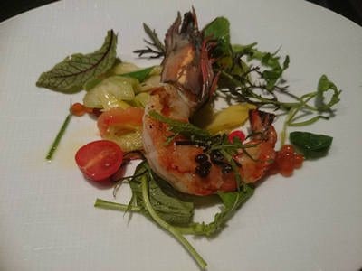 Le Concert de Cuisine — photo 3