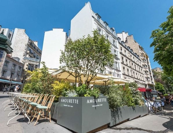 Amourette — photo 3
