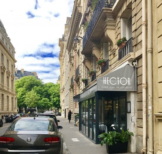 Hector — photo 2