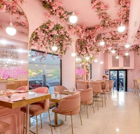 Pinky Bloom — photo 3