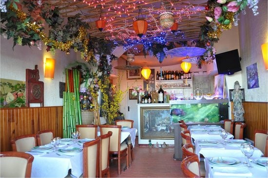 Bambou D'or — photo 3