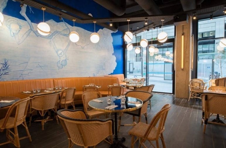 Blue Monkey — photo 3