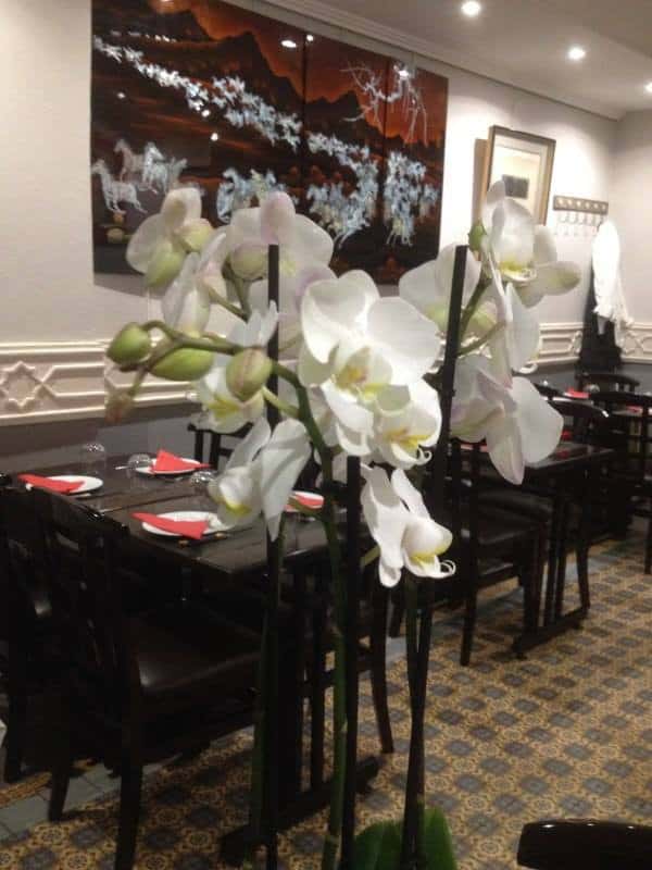 Mariba — photo 3