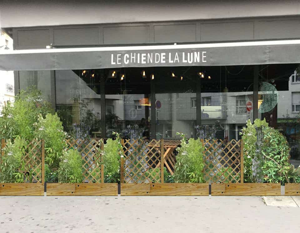 Le chien de la lune — photo 2