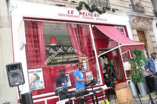 Le pélican — photo 2