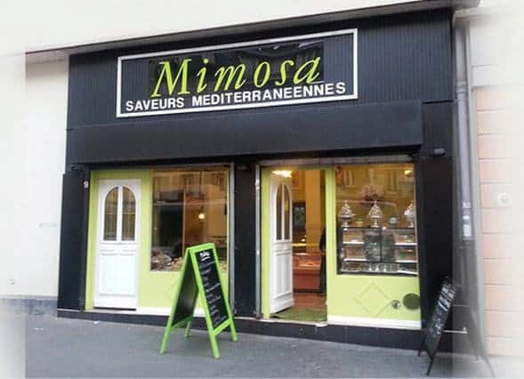 Mimosa el fassia — photo 2