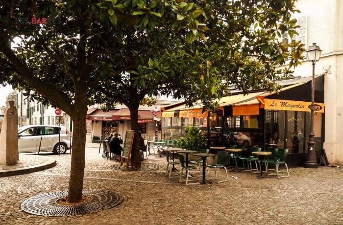 Le Magnolia — photo 3