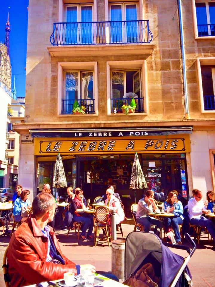 Le Zèbre À Pois — photo 2
