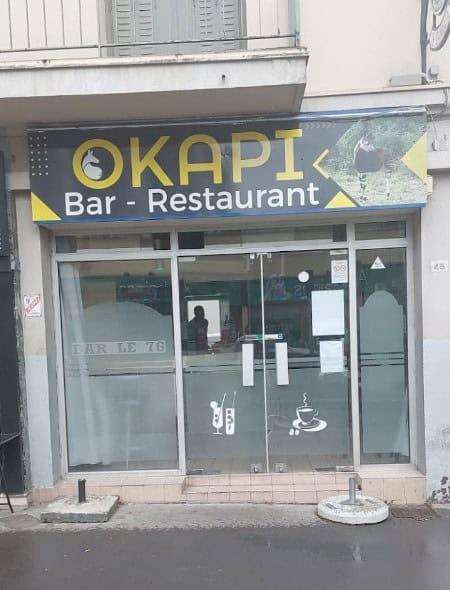 Okapi — photo 3