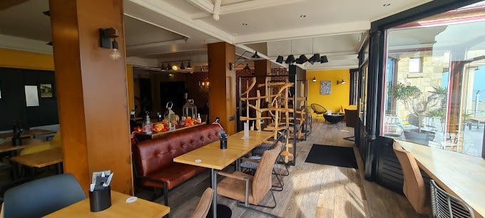 L’Authentik Café — photo 3