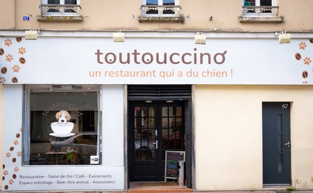 Toutouccino — photo 2