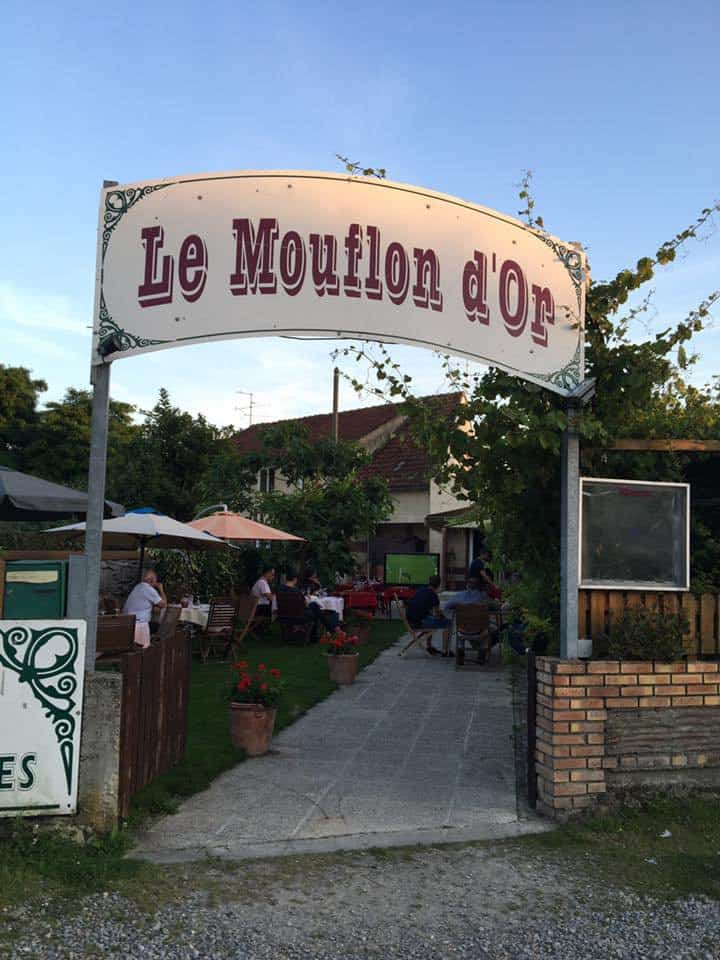 Le Mouflon d'Or — photo 2