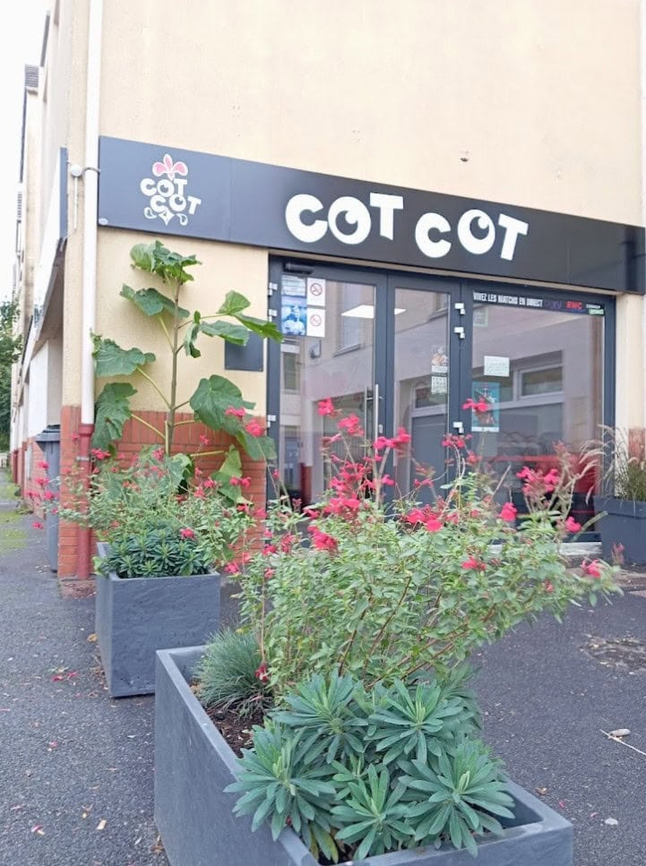 Cot cot — photo 2