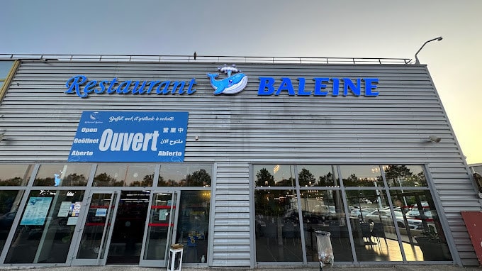 Baleine — photo 2