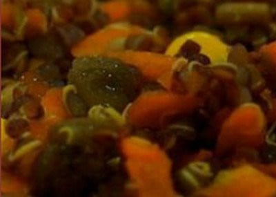 Graine de Gourmandise — photo 4