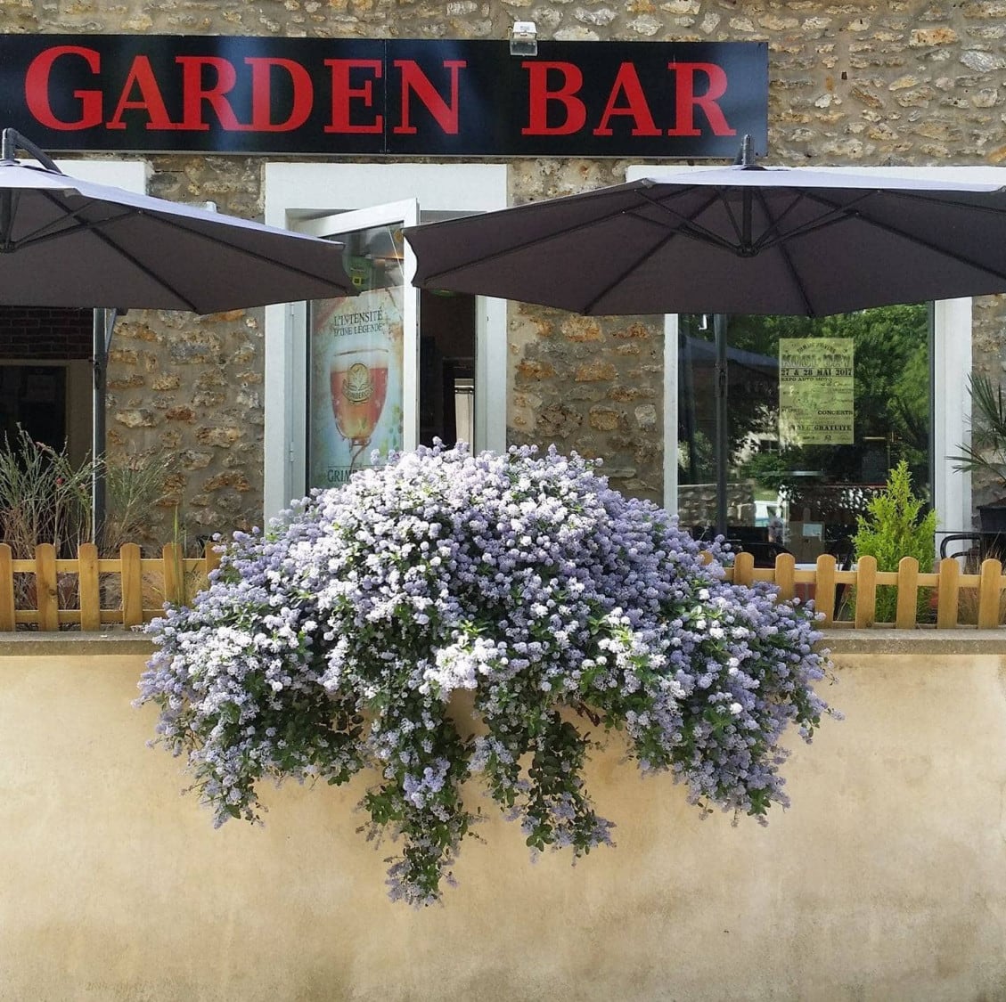 Le Garden Bar — photo 2