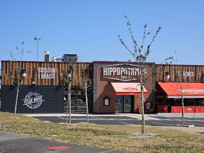 Hippopotamus — photo 2