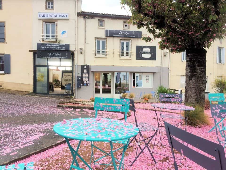 La Cantine — photo 2
