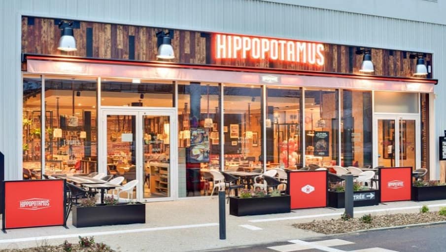 Hippopotamus — photo 2