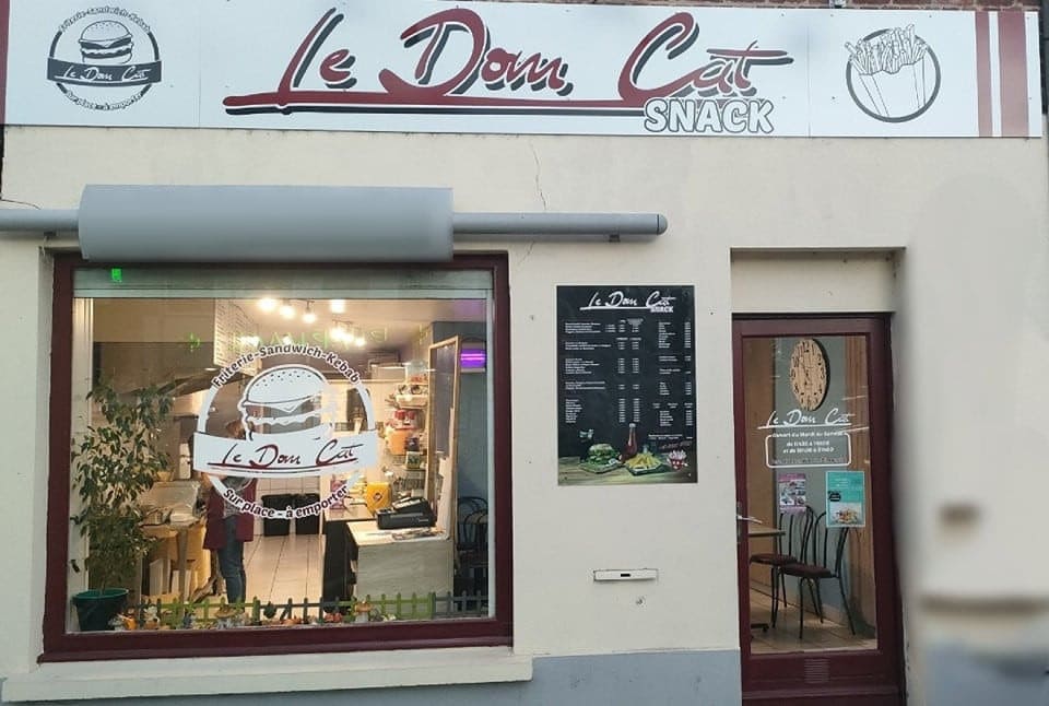 Dom Cat — photo 3