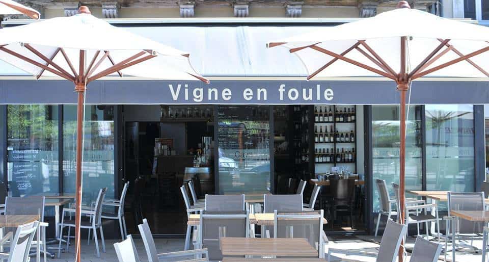 Vigne en Foule — photo 2