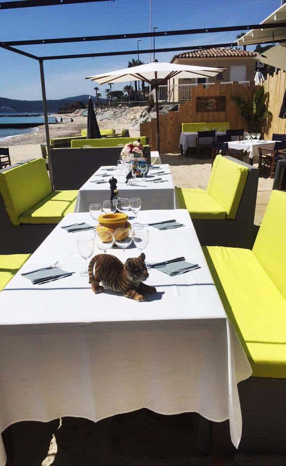 Maxim'Plage — photo 2