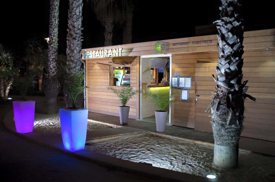 Palm B — photo 2
