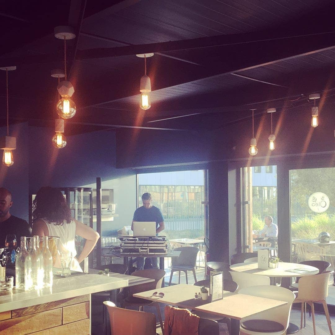 Olea — photo 3