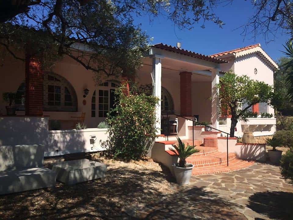 L'oliveraie — photo 3