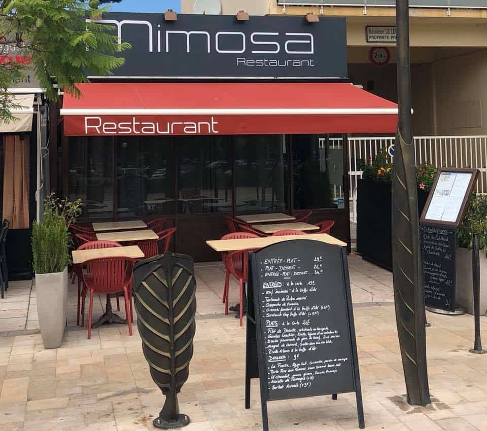 Mimosa — photo 2