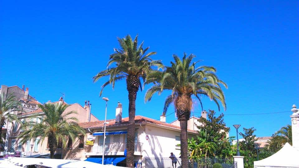 Bar des Sports — Restaurant Français à La Londe les Maures — photo 2